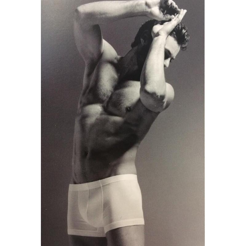 Boxer Hanro Sporty pur Coton