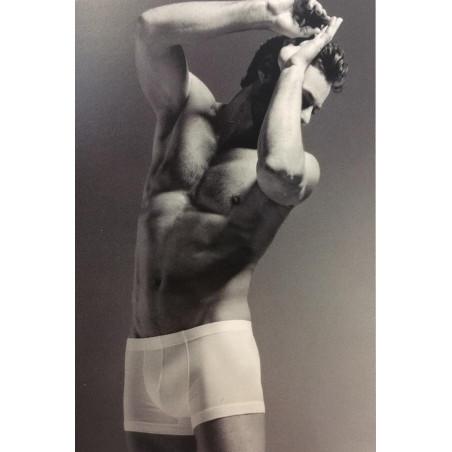 Boxer Hanro Sporty pur Coton