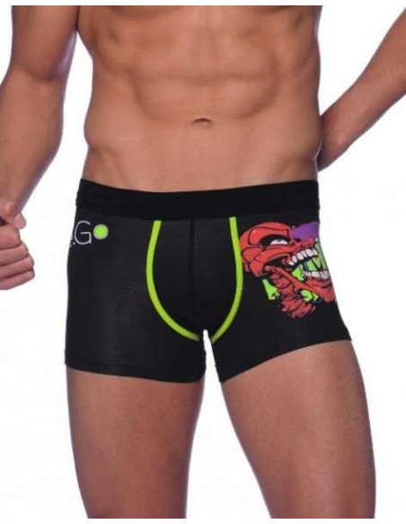 Boxer E Go Hom David