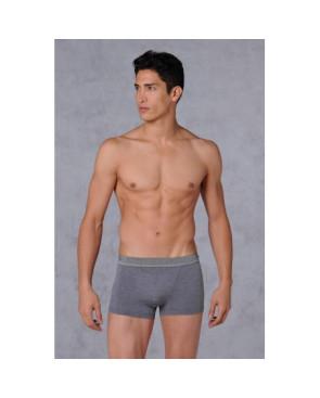  Boxer HO1 Hom 2+1 Gratuit Gris