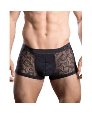 Boxer Hom Temptation Riverside