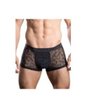Boxer Hom Temptation Riverside
