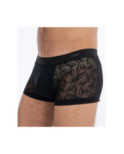 Boxer Hom Temptation Riverside
