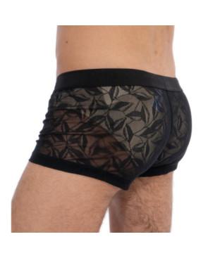  Boxer Hom Temptation Riverside