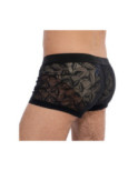 Boxer Hom Temptation Riverside