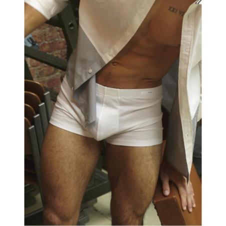 Hom Boxer Cotton premium pur
