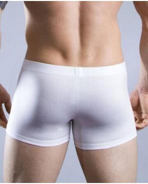  Hom Boxer Cotton premium pur