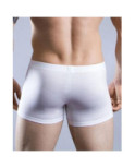 Hom Boxer Cotton premium pur