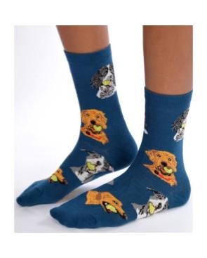 Chaussettes délires chiens compagnie