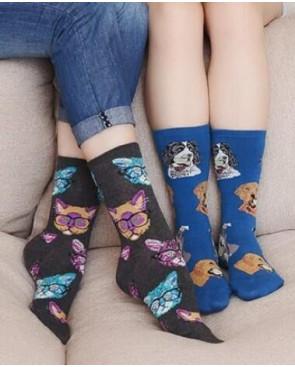 coffret Chaussettes chiens et Chats