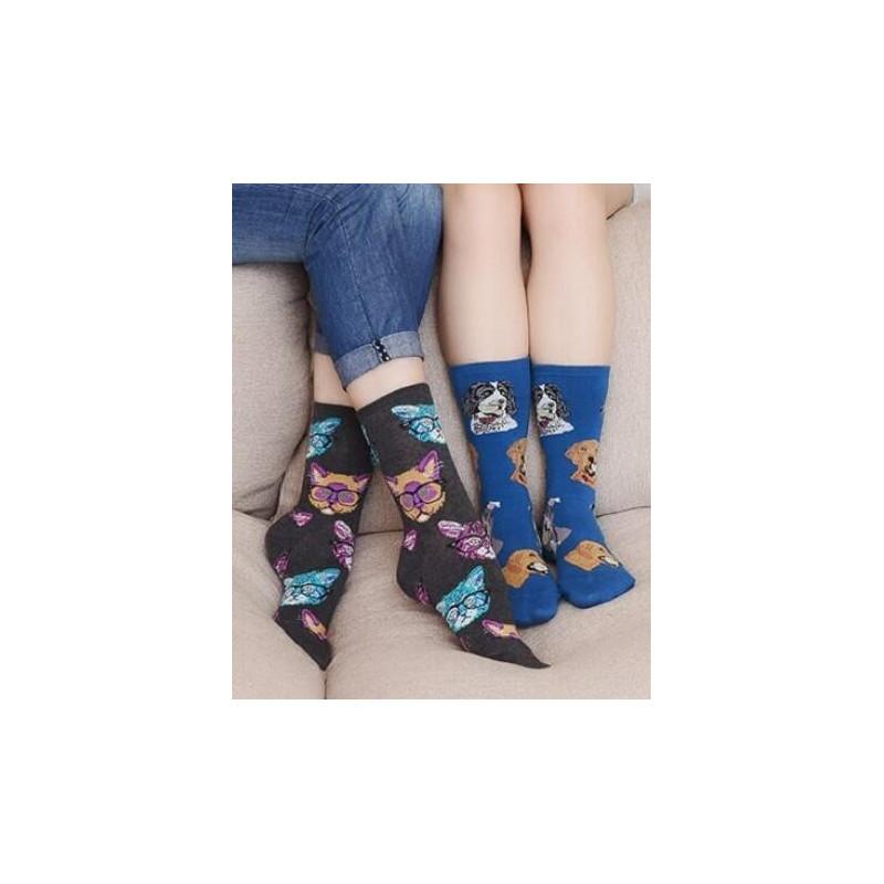 coffret Chaussettes chiens et Chats