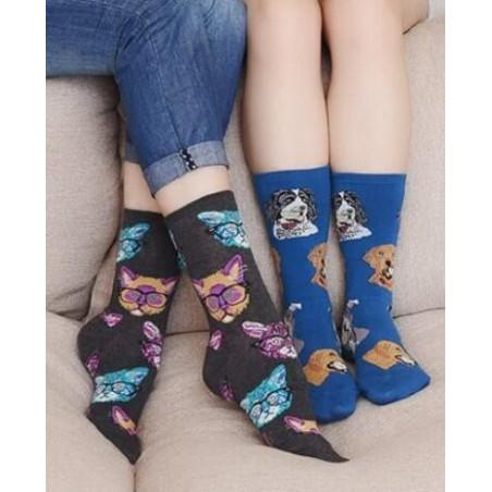 coffret Chaussettes chiens et Chats