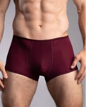 Boxer Plume de couleur de saison