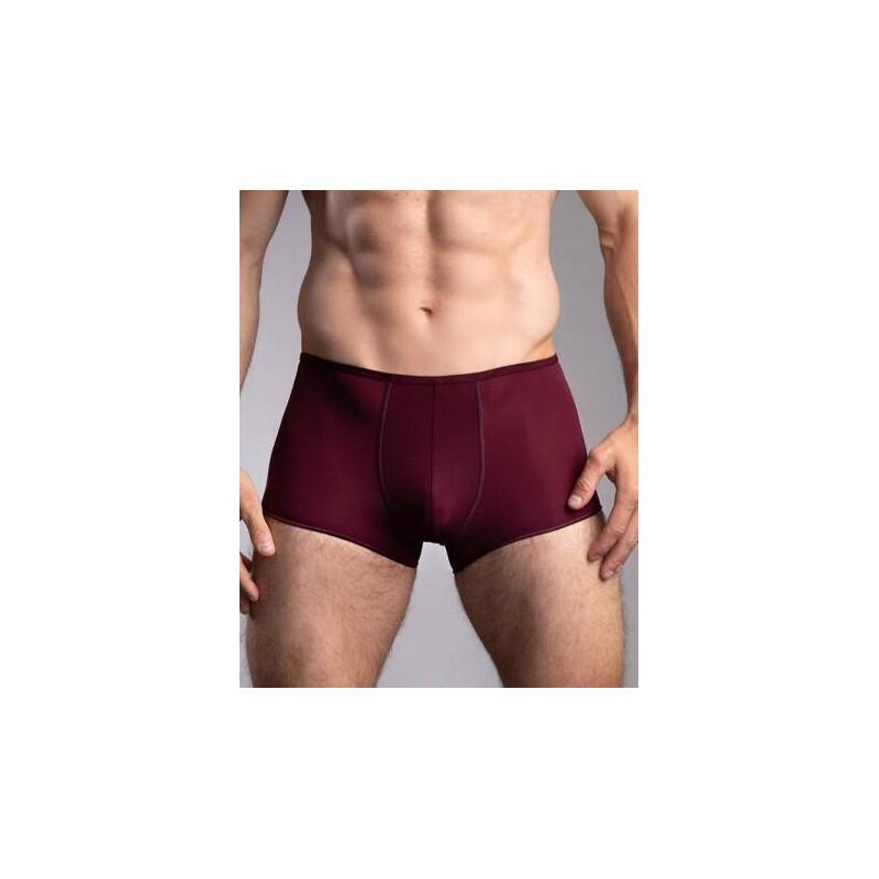 Boxer Plume de couleur de saison