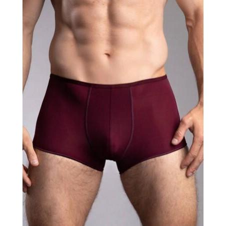 Boxer Plume de couleur de saison
