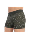 Boxer Hom Ho1 Foliage