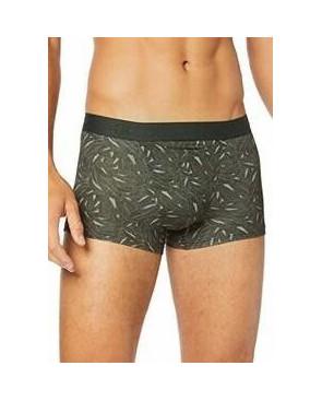 Boxer Hom Ho1 Foliage