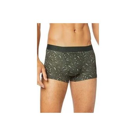 Boxer Hom Ho1 Foliage