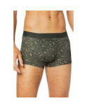 Boxer Hom Ho1 Foliage