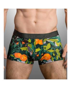 Boxer Hom Tangerine