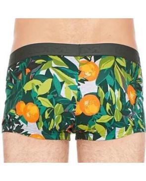 Boxer Hom Tendance tangerine