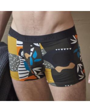 Boxer Hom Coton modal Art moderne