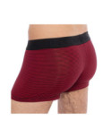 Boxer Hom Ho1 Simon