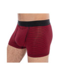 Boxer Hom Ho1 Simon