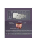 Collant Gainant Minceur Platino