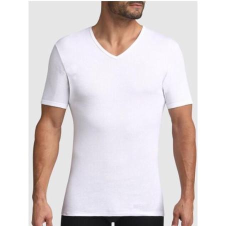 T shirt col rond pur coton eco dim