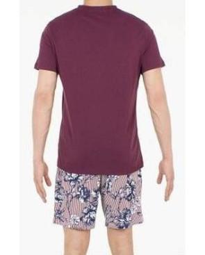 Pyjama Hom Court Botanic