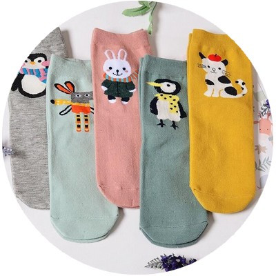 Chaussettes