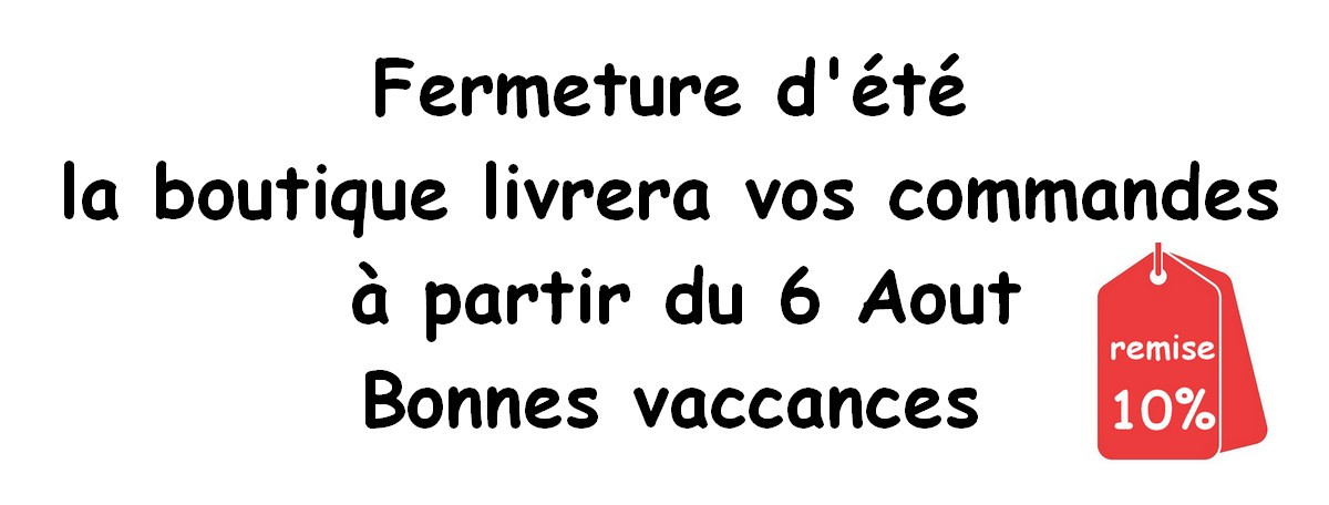 Voyage d'affaire