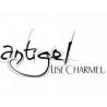 Antigel